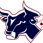 Lethbridge Bulls