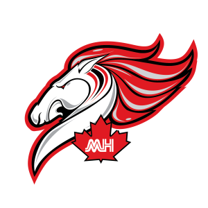 medicine hat