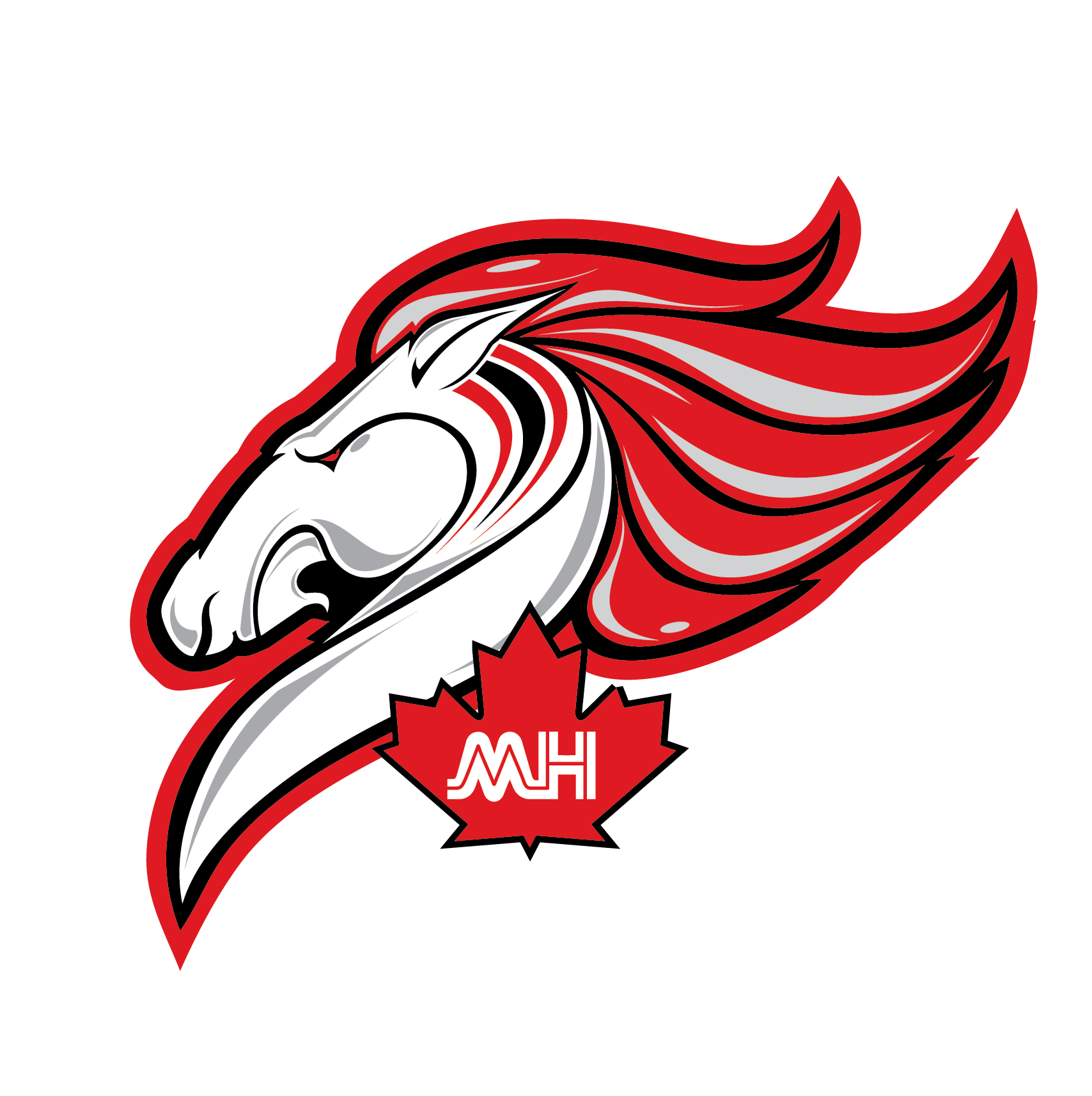 medicine hat