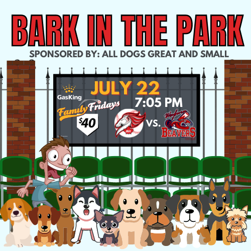 bark_in_the_park