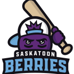 Saskatoon Berries